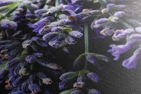 CANVAS PRINT LAVENDER BOUQUET - PICTURES FLOWERS - PICTURES