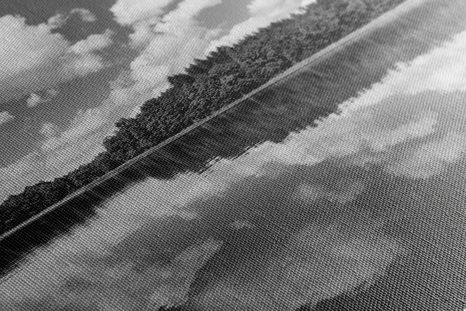 КАРТИНА НА ПЛАТНО – ПРИРОДА ПРЕЗ ЛЯТОТО В ЧЕРНО-БЯЛО ИЗПЪЛНЕНИЕ - ЧЕРНО-БЕЛИ КАРТИНИ - КАРТИНИ