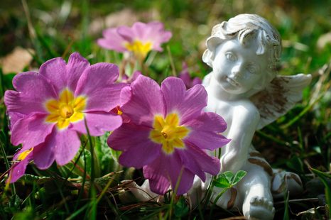 TABLOU ÎNGERAȘ ÎN GRĂDINĂ - TABLOURI CU ÎNGERI - TABLOURI