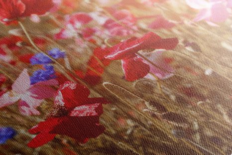 SLIKA MAK PREKRIT S SONCEM - SLIKE ROŽ - SLIKE