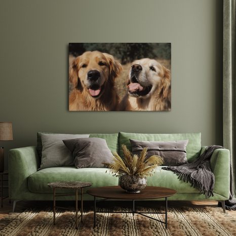 WANDBILD FRÖHLICHE HUNDEGESICHTER - BILDER VON HUNDEN - BILDER