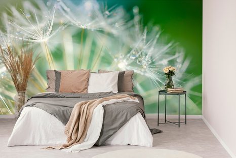 TAPETA NÁDHERNÝ DETAIL PAMPELIŠKY - TAPETY KVĚTINY - TAPETY