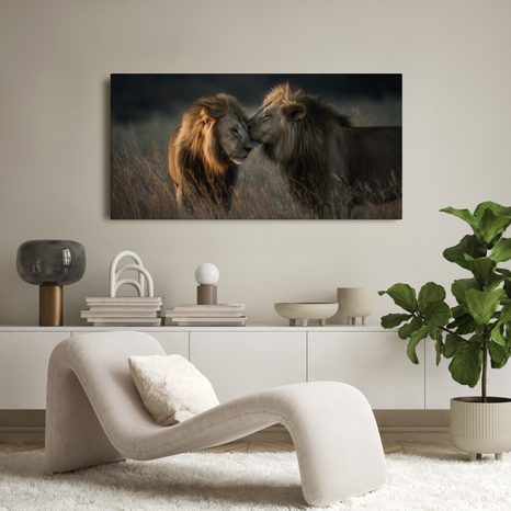 OBRAZ LVÍ KRÁLOVSKÁ HARMONIE - OBRAZY LVI A TYGŘI - OBRAZY