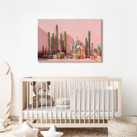 OBRAZ KAKTUSY NA RŮŽOVÉ ZDI - BOTANICKÉ OBRAZY - OBRAZY