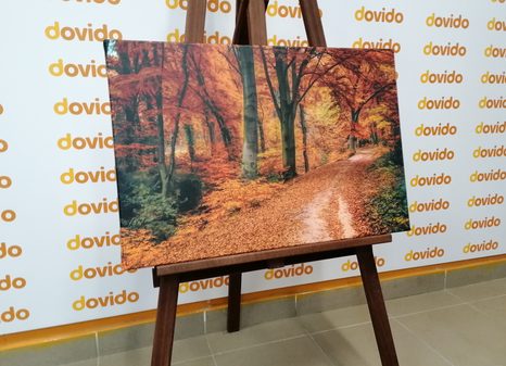 КАРТИНА НА ПЛАТНО – ГОРА ПРЕЗ ЕСЕНТА - КАРТИНИ НА ПРИРОДАТА И ПЕЙЗАЖИ - КАРТИНИ