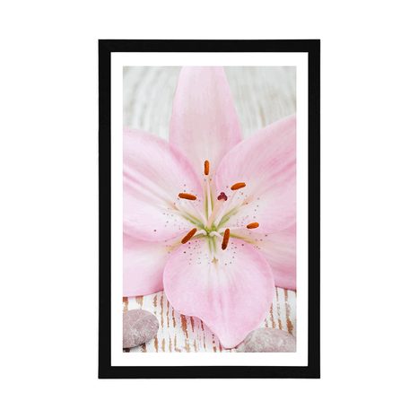 AFFICHE AVEC PASSE-PARTOUT – LYS ROSE ET PIERRES ZEN - FENG SHUI - AFFICHES