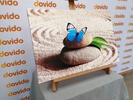 OBRAZ MODRÝ MOTÝL V ZEN ZAHRADĚ - OBRAZY FENG SHUI - OBRAZY