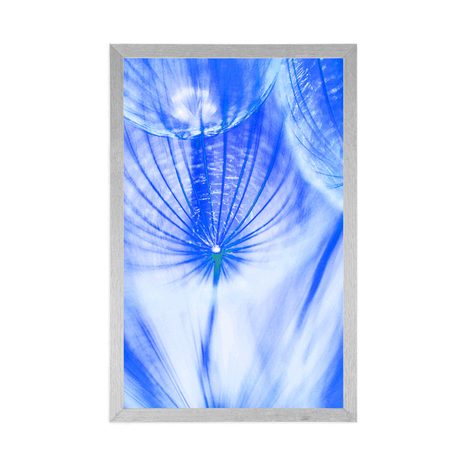 PLAKÁT PAMPELIŠKA V MODRÉM PROVEDENÍ - KVĚTINY - PLAKÁTY