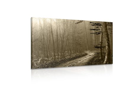 WANDBILD WEG IN DEN WALD IN SEPIA - BILDER VON NATUR UND LANDSCHAFT - BILDER