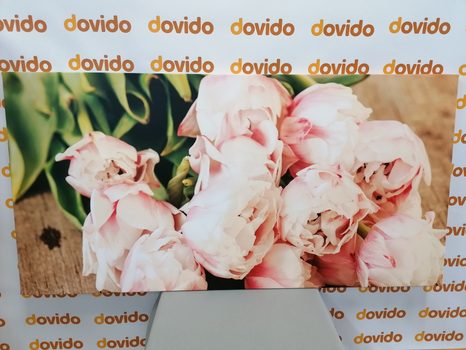 OBRAZ ROMANTICKÁ KYTICE KVĚTŮ - OBRAZY KVĚTŮ - OBRAZY