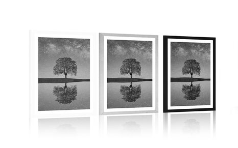 POSTER – CIELO STELLATO SOPRA UN ALBERO SOLITARIO IN BIANCO E NERO - NERO E BIANCO - POSTER