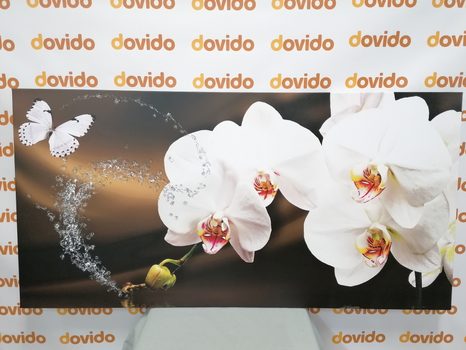 WANDBILD ORCHIDEE UND SCHMETTERLING - BILDER BLUMEN - BILDER