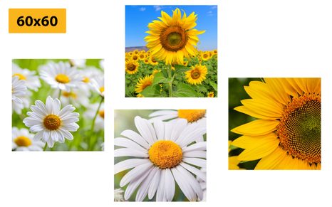 SET DI QUADRI – SPLENDIDI FIORI NEL PRATO - COLLEZIONI DI QUADRI - STAMPE E QUADRI