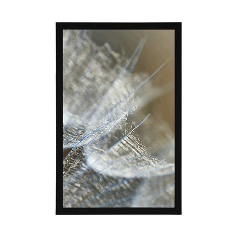 AFFICHE – MACRO PISSENLIT SUR FOND - FLEURS - AFFICHES