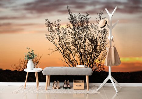 FOTOTAPETA VĚTVIČKY V ZÁPADU SLUNCE - TAPETY PŘÍRODA - TAPETY