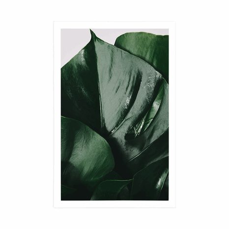 AFFICHE – FEUILLE DE MONSTERA - FLEURS - AFFICHES