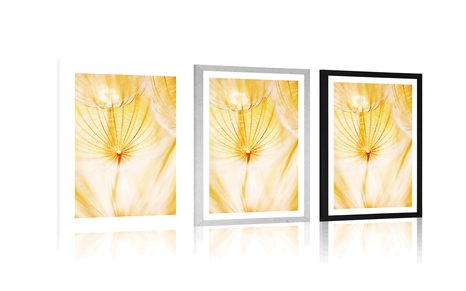 POSTER – DENTE DI LEONE IN VERSIONE GIALLA - FIORI - POSTER