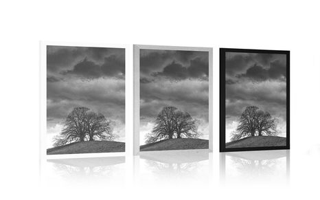 PLAGÁT ČIERNOBIELE OSAMELÉ STROMY - ČIERNOBIELE - PLAGÁTY