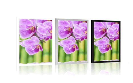 PLAGÁT ZEN ZÁHRADA - FENG SHUI - PLAGÁTY