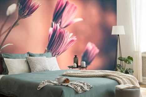 SAMOLEPÍCÍ FOTOTAPETA JEMNÉ RŮŽOVÉ KVĚTY - SAMOLEPÍCÍ TAPETY - TAPETY