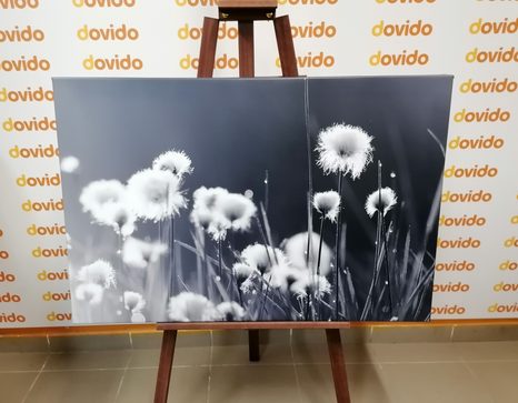 SLIKA BOMBAŽ V ČRNOBELI IZVEDBI - ČRNOBELE SLIKE - SLIKE