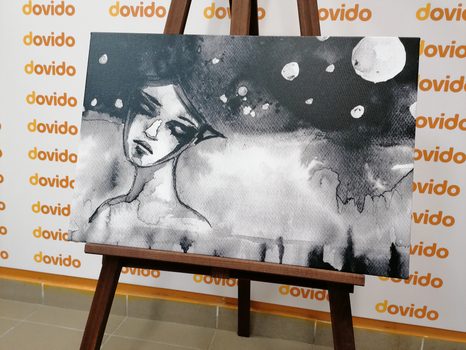 OBRAZ MĚSÍČNÍ VÍLA V ČERNOBÍLÉM PROVEDENÍ - ČERNOBÍLÉ OBRAZY - OBRAZY