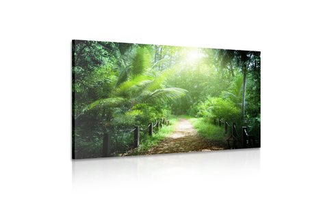 WANDBILD WEG AUF DEN SEYCHELLEN - BILDER VON NATUR UND LANDSCHAFT - BILDER