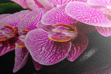 OBRAZ ZEN KOMPOZICE SE SVÍČKAMI - OBRAZY FENG SHUI - OBRAZY