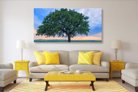 TABLOU STEJAR SINGURATIC - TABLOU NATURĂ ȘI PEISAJE NATURALE - TABLOURI