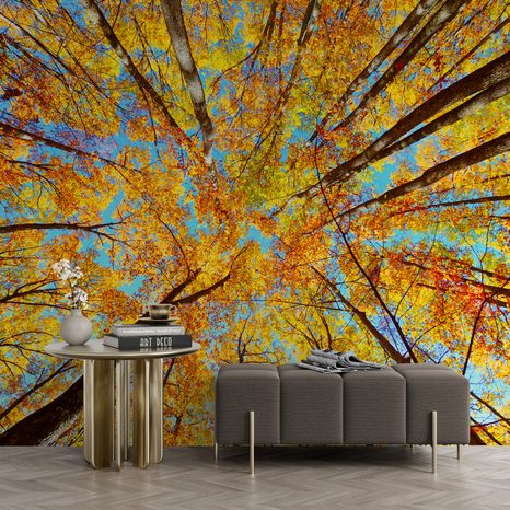 SELF ADHESIVE WALL MURAL AUTUMN TREE CROWNS - SELF-ADHESIVE WALLPAPERS - WALLPAPERS