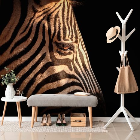 CARTA DA PARATI – RITRATTO DI ZEBRA - CARTA DA PARATI ANIMALI - CARTA DA PARATI