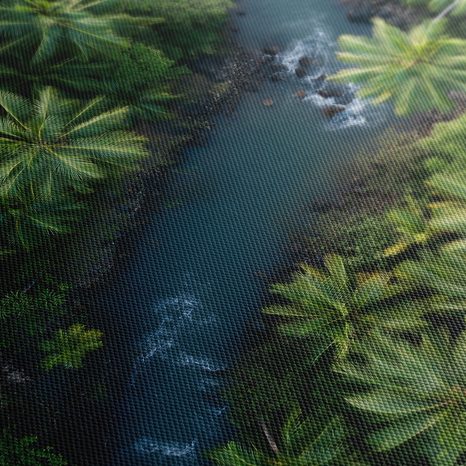WANDBILD TROPISCHER FLUSS IM DSCHUNGEL - BILDER BÄUME UND LAUB - BILDER