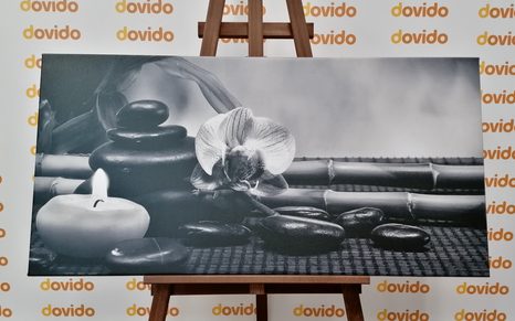 QUADRO SU TELA – NATURA MORTA FENG SHUI IN BIANCO E NERO - QUADRI BIANCO E NERO - STAMPE E QUADRI