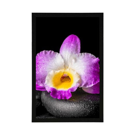 AFFICHE – ORCHIDÉE VIOLETTE SUR PIERRES ZEN AVEC PASSE-PARTOUT - FENG SHUI - AFFICHES