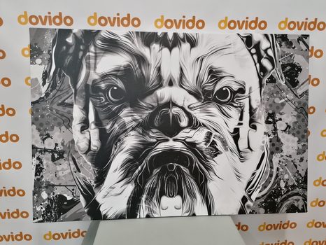 OBRAZ BULDOČEK V ČERNOBÍLÉM PROVEDENÍ - ČERNOBÍLÉ OBRAZY - OBRAZY