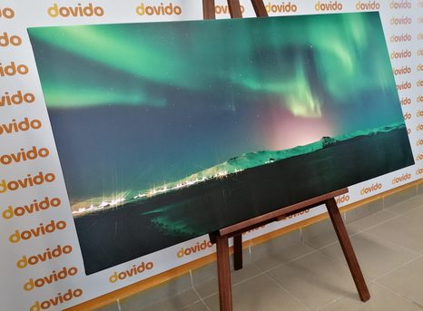 SLIKA NEOBIČAJNI ZELENI SIJ - SLIKE NARAVE IN POKRAJINE - SLIKE