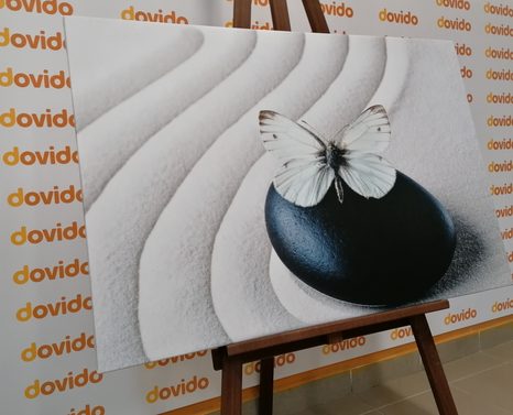 STAMPA SU TELA – FARFALLA BIANCA SU PIETRA NERA - QUADRI FENG SHUI - STAMPE E QUADRI