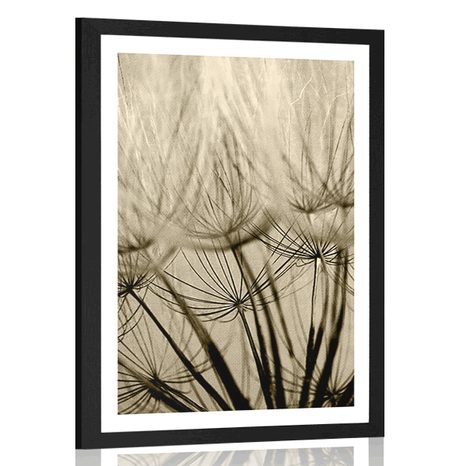 POSTER – SEMI DI DENTE DI LEONE IN SEPPIA - NERO E BIANCO - POSTER