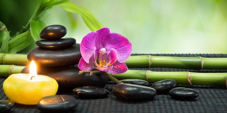 STAMPA SU TELA – NATURA MORTA FENG SHUI - QUADRI FENG SHUI - STAMPE E QUADRI