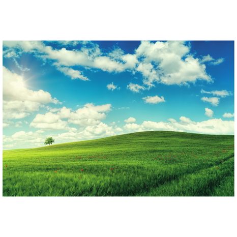 SAMOLEPÍCÍ FOTOTAPETA NÁDHERNÝ DEN NA LOUCE - SAMOLEPÍCÍ TAPETY - TAPETY