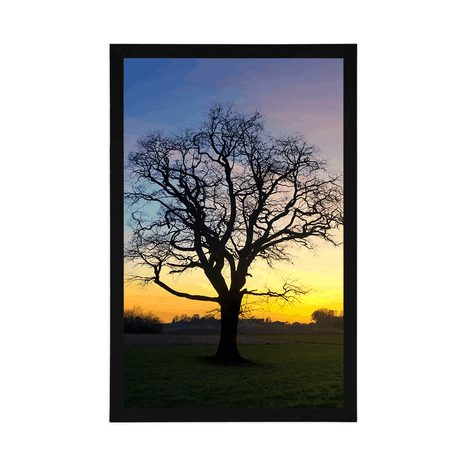 PLAGÁT OČARUJÚCI STROM - PRÍRODA - PLAGÁTY