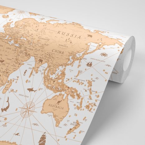 CARTA DA PARATI – MAPPA BEIGE - CARTA DA PARATI MAPPE - CARTA DA PARATI