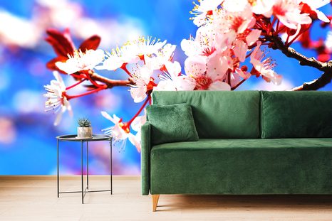 SAMOLEPÍCÍ FOTOTAPETA TŘEŠŇOVÝ KVĚT - SAMOLEPÍCÍ TAPETY - TAPETY