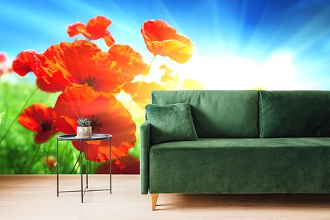 SAMOLEPÍCÍ TAPETA VLČÍ MÁK NA LOUCE - SAMOLEPÍCÍ TAPETY - TAPETY