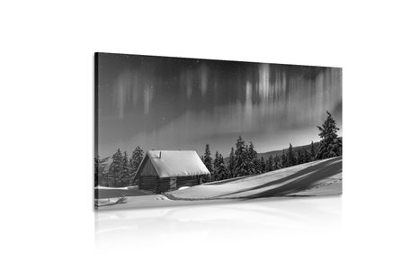 OBRAZ ROZPRÁVKOVÁ ZIMNÁ KRAJINA V ČIERNOBIELOM PREVEDENÍ - ČIERNOBIELE OBRAZY - OBRAZY