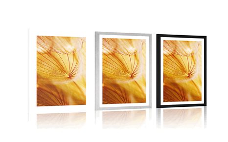 POSTER MIT PASSEPARTOUT PUSTEBLUME IM SCHÖNEN DESIGN - POSTER