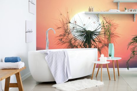 CARTA DA PARATI – DENTE DI LEONE AL TRAMONTO - CARTA DA PARATI CON FIORI - CARTA DA PARATI