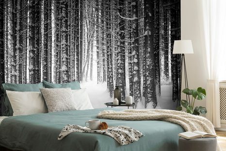 CARTA DA PARATI – BOSCO INNEVATO IN BIANCO E NERO - CARTA DA PARATI BIANCO E NERO - CARTA DA PARATI