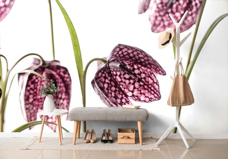 FOTOTAPETA ŠACHOVNICOVÝ KVĚT - TAPETY KVĚTINY - TAPETY