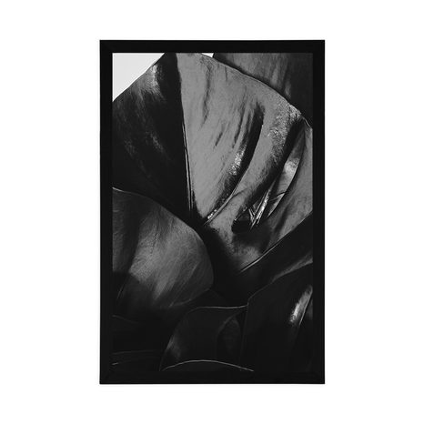 POSTER MONSTERA IN BLACK AND WHITE - BLACK AND WHITE - POSTERS